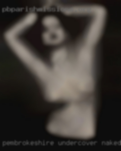 Pembrokeshire undercover naked club women near DC.