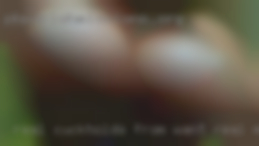 Real cuckholds from want real meet in Sullivan Illinois!